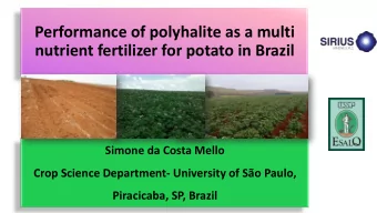 Performance of polyhalite as a multi  nutrient fertilizer for potato in Brazil  Simone da Costa