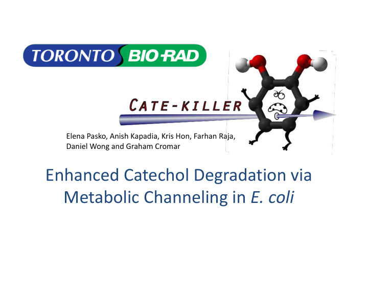 enhanced catechol degradation via metabolic channeling in