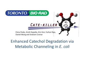 EnhancedCatecholDegradationvia MetabolicChannelingin E.coli