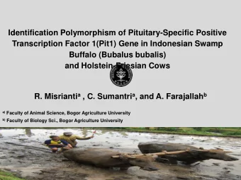 Identification Polymorphism of Pituitary-Specific Positive  Transcription Factor 1(Pit1) Gene in