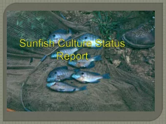 Title  Number  Year  Amount ($)  Project  Number  Sunfish  1  6/1/90-  $130,758  90-38500-  8/31/92