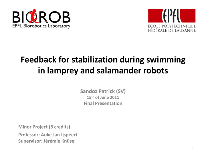 in lamprey and salamander robots