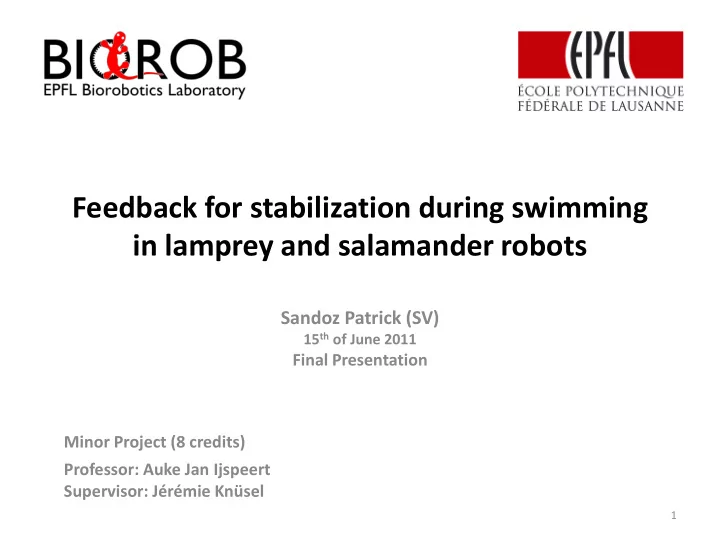 in lamprey and salamander robots