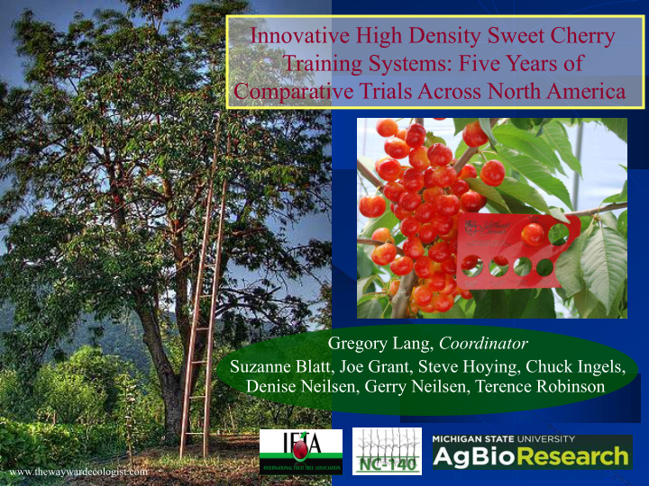 innovative high density sweet cherry training systems