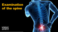 examination of the spine meet the speakers
