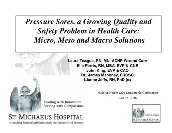Pressure Sores, a Growing Quality and  Safety Problem in Health Care:  Micro, Meso and Macro