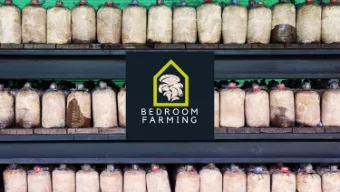 How To Grow Your Own Fresh  Mushroom for Fun and PROFIT!  By  BedroomFarming  Bedroom Farming