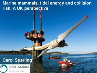 risk: A UK perspective  Current status of UK tidal industry  Consenting decision making