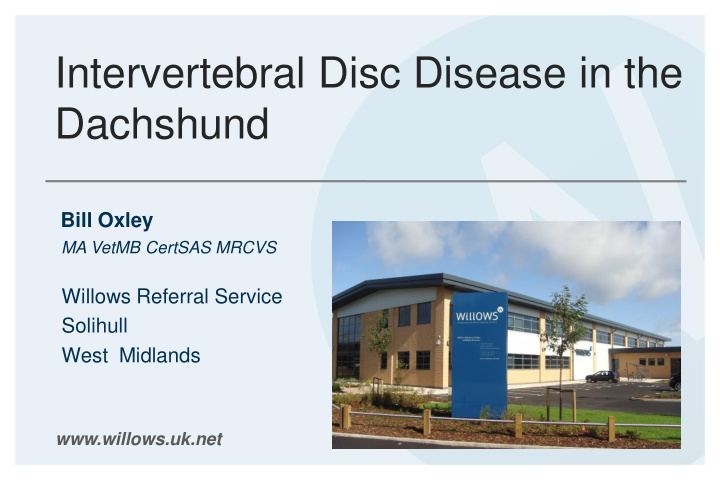 intervertebral disc disease in the dachshund