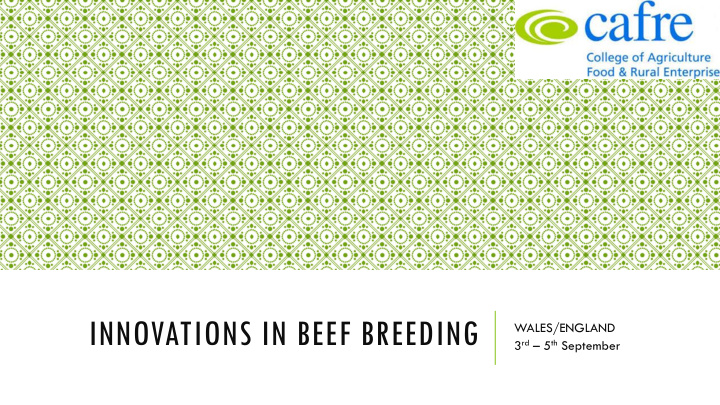 innovations in beef breeding