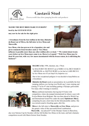 Gustavii Stud  Proven world class show jumping breeder and producer  MAYBE THE BEST BRED MARE IN