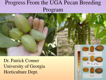 Progress From the UGA Pecan Breeding  Program  Dr. Patrick Conner  University of Georgia