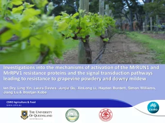 Investigations into the mechanisms of activation of the MrRUN1 and  MrRPV1 resistance proteins and