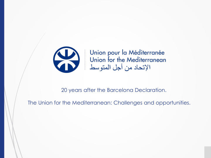 the union for the mediterranean challenges and