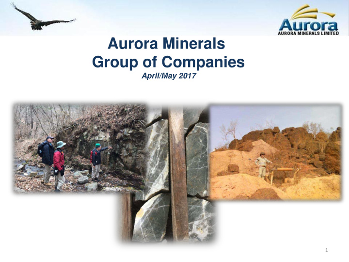 aurora minerals group of companies