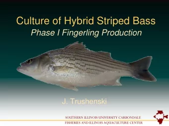 Culture of Hybrid Striped Bass  Phase I Fingerling Production  J. Trushenski  SOUTHERN ILLINOIS