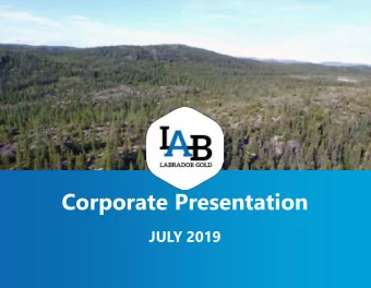Corporate Presentation  JULY 2019  1  TSX-V: LAB| www.labradorgold.com  Disclaimer  Statements
