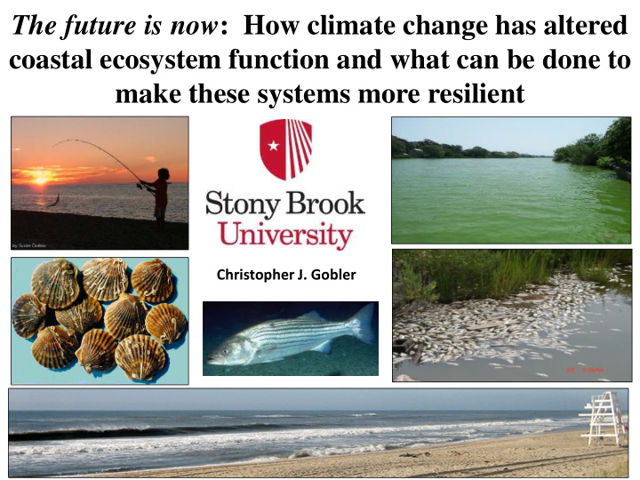 the future is now how climate change has altered coastal