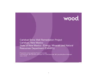 Carlsbad Brine Well Remediation Project  Carlsbad, New Mexico  State of New Mexico - Energy,