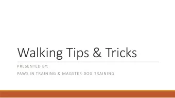 Walking Tips &amp; Tricks  PRESENTED BY:  PAWS IN TRAINING &amp; MAGSTER DOG TRAINING  Reality