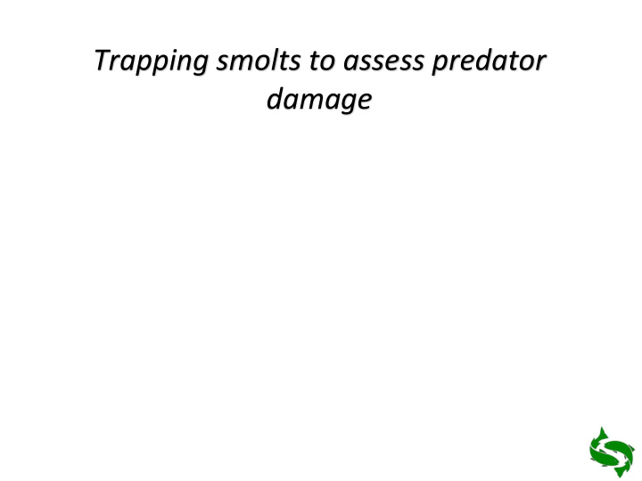 trapping smolts to assess predator damage