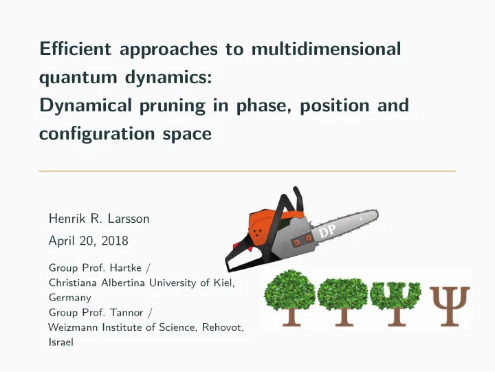 efficient approaches to multidimensional quantum dynamics
