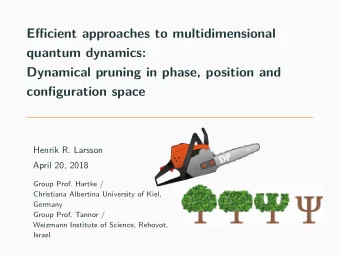 Efficient approaches to multidimensional  quantum dynamics:  Dynamical pruning in phase, position
