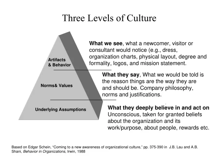 three levels of culture