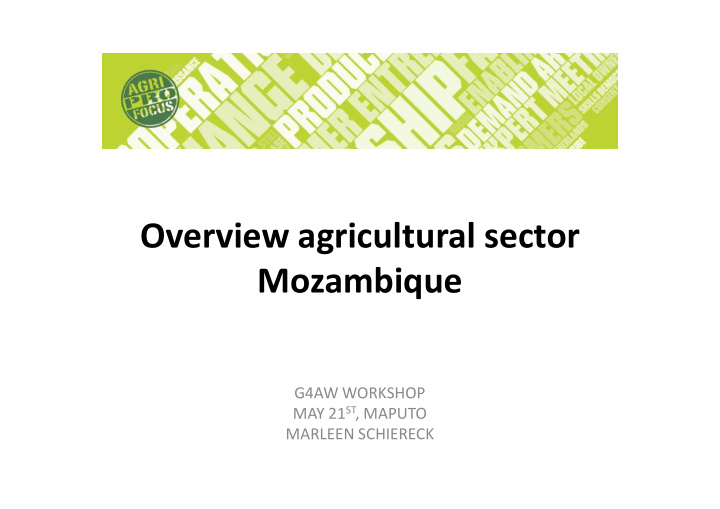overview agricultural sector mozambique