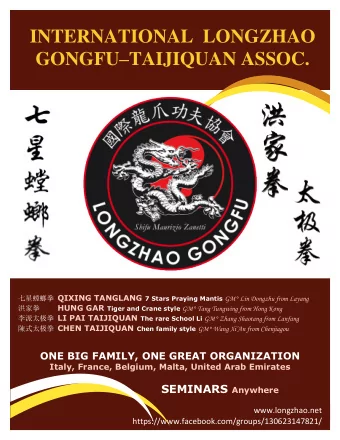 INTERNATIONAL  LONGZHAO GONGFU  TAIJIQUAN ASSOC.  QIXING TANGLANG 7 Stars Praying