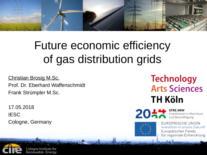 future economic efficiency of gas distribution grids