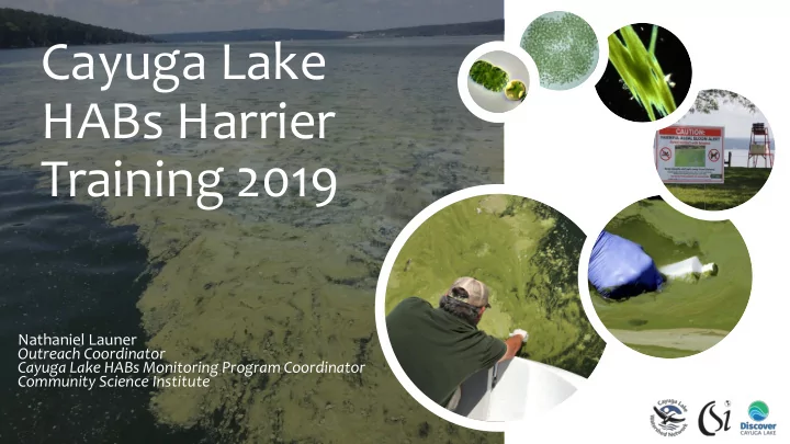 habs harrier training 2019