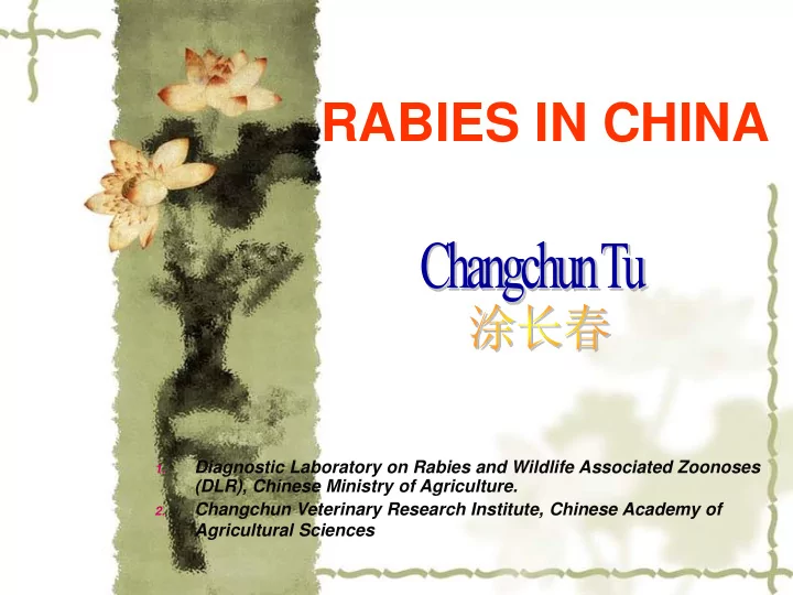 rabies in china