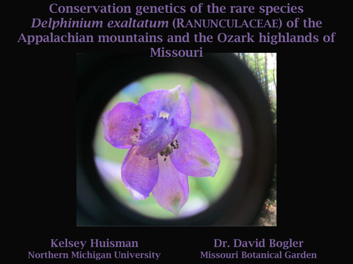 conservation genetics of the rare species