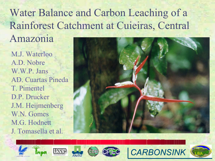 water balance and carbon leaching of a rainforest