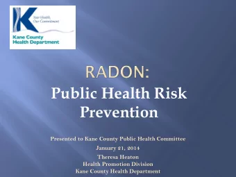 Public Health Risk  Prevention Presented to Kane County Public Health Committee  January 21, 2014
