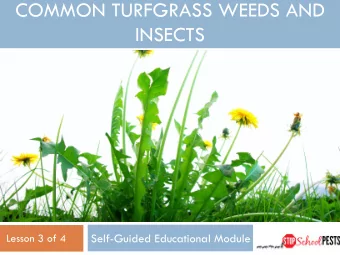 COMMON TURFGRASS WEEDS AND  INSECTS  Self-Guided Educational Module  Lesson 3 of 4  Learning