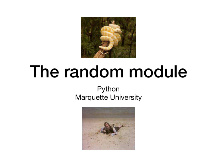 the random module