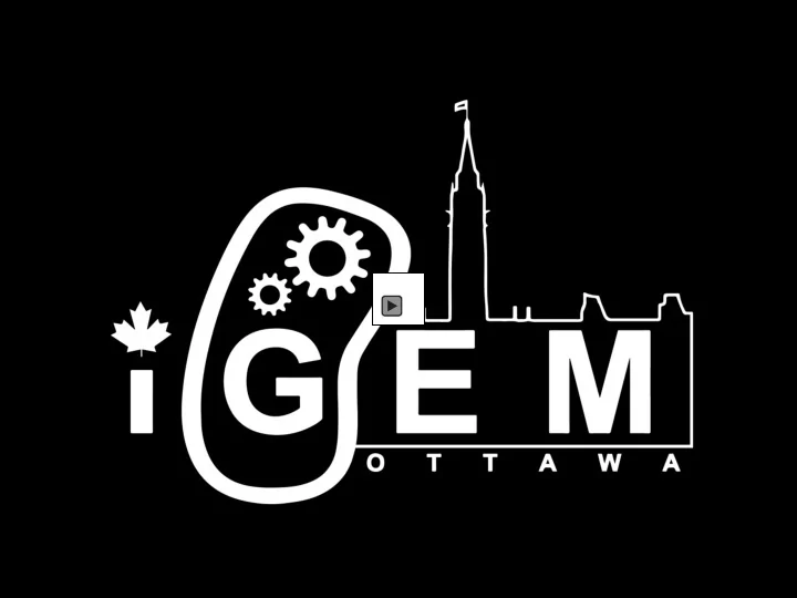 uottawa s 2013 project