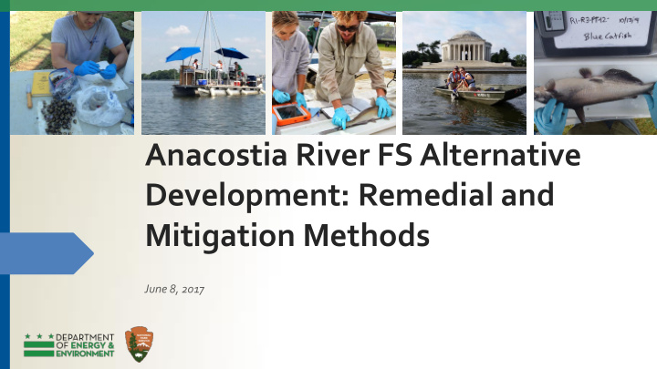 anacostia river fs alternative development remedial and