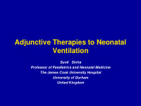 adjunctive therapies to neonatal ventilation