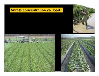 Nitrate concentration vs. load :  Nitrate concentration vs. load :  Management options that