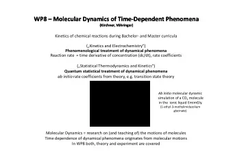 WP8  Molecular Dynamics of Time-Dependent Phenomena  WP8  Molecular Dynamics of