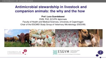Antimicrobial stewardship in livestock and  companion animals: the why and the how  Prof. Luca