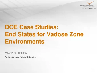 DOE Case Studies:  End States for Vadose Zone  Environments  MICHAEL TRUEX  Pacific Northwest