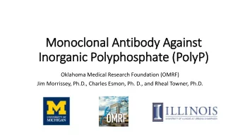 Mon  onoc  oclonal An  Antibody Ag  Against  Inorgani  nic P  Polypho  phospha  phate (Po  PolyP)