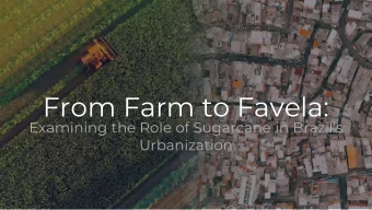 From Farm to Favela:  Examining the Role of Sugarcane in Brazils  Urbanization  In 2017,