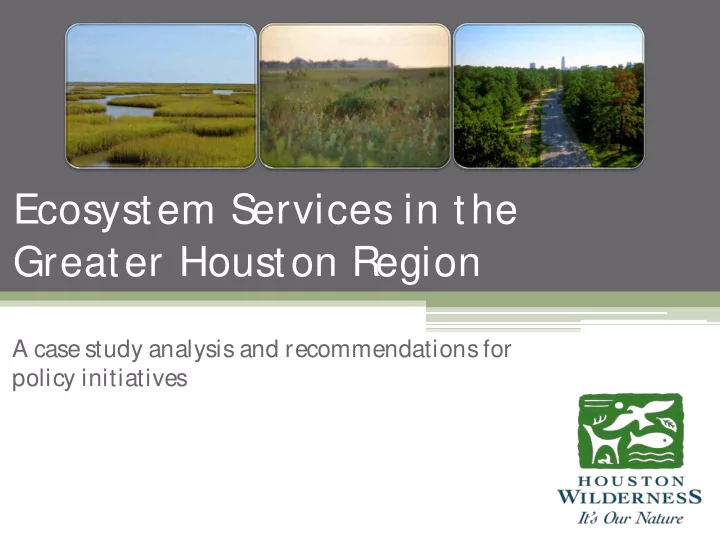 greater houston region