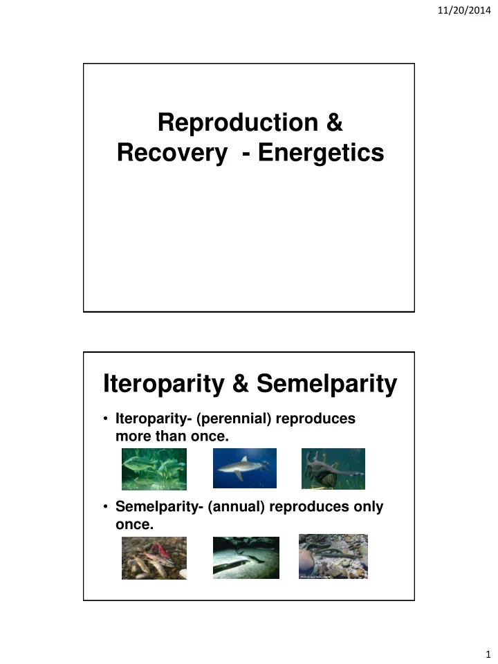 reproduction