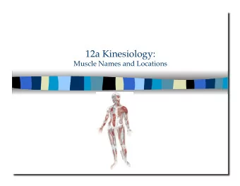 12a Kinesiology:   Muscle Names and Locations 12a Kinesiology:  Muscle Names and Locations